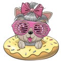 Yorkshire terrier girl swimming on pool ring donut
