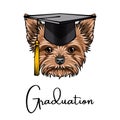 Yorkshire terrier graduate. Graduations hat cap. Dog portrait. Cute pet. Vector.