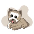 Yorkshire terrier happy dog vector illustration