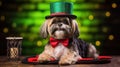 Yorkshire terrier in a hat. Portrait of a dog dressed as a leprechaun.