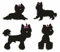 Yorkshire terrier - isolated vector set illustration. Dog collection Vector illustration