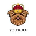 Yorkshire terrier king. Crown. Dog queen. You rule lettering. Vector. Royalty Free Stock Photo