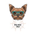 Yorkshire terrier nerd. Smart glasses. Dog geek. Yorkshire terrier portrait. Vector.