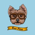 Yorkshire terrier Pilot. Aviators glasses. Best Pilot lettering. Vector.