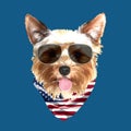 Yorkshire Terrier portrait, Cute cool dog in glasses and USA flag bandana, Vector illustration