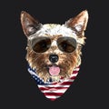 Yorkshire Terrier portrait, Cute cool dog in glasses and USA flag bandana, Vector illustration