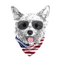 Yorkshire Terrier portrait, Cute cool dog in glasses and USA flag bandana, Vector illustration