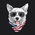 Yorkshire Terrier portrait, Cute cool dog in glasses and USA flag bandana, Vector illustration