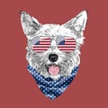 Yorkshire Terrier portrait, Cute cool dog in USA flag glasses and bandana, Vector illustration