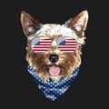 Yorkshire Terrier portrait, Cute cool dog in USA flag glasses and bandana, Vector illustration