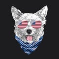 Yorkshire Terrier portrait, Cute cool dog in USA flag glasses and bandana, Vector illustration