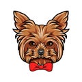 Yorkshire Terrier portrait. Red bow. Dog head. Yorkshire terrier breed. Vector. Royalty Free Stock Photo
