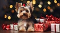 Yorkshire Terrier small dog Christmas portrait with Christmas gifts. Yorkshire Terrier. Christmas holidays with dogs banner poster Royalty Free Stock Photo