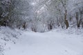 Yorkshire Wolds Road in Winter