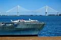 Yorktown aircraft carrier with Ravenel bridge Royalty Free Stock Photo