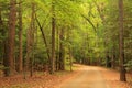 Yorktown Battlefield Auto Tour Road