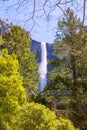 Yosemite Bridalveil fall waterfall California Royalty Free Stock Photo