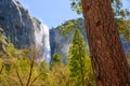 Yosemite Bridalveil fall waterfall California Royalty Free Stock Photo