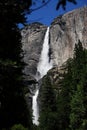 Yosemite fall Royalty Free Stock Photo