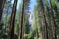 Yosemite Falls Royalty Free Stock Photo