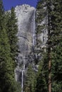 Yosemite Falls Royalty Free Stock Photo