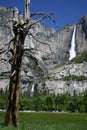 Yosemite Falls