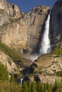 Yosemite Falls Royalty Free Stock Photo