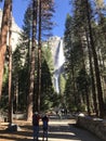 Yosemite Falls California USA