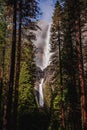 Yosemite Falls Among the Forest, Yosemite National Park, California Royalty Free Stock Photo