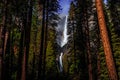 Yosemite Falls Among the Forest, Yosemite National Park, California Royalty Free Stock Photo