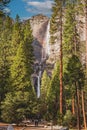 Yosemite Falls Waterfall and Landscape Scene