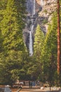 Yosemite Falls Waterfall and Landscape Scene