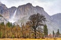 Yosemite Falls, the highest waterfall in Yosemite National Park, California Royalty Free Stock Photo