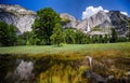 Yosemite Falls Royalty Free Stock Photo