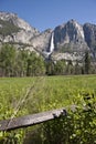 Yosemite Falls in Summer