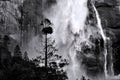 Yosemite Falls Royalty Free Stock Photo