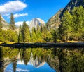 Yosemite mirror view for the majestic rock hidden by trees
