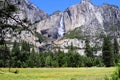 Yosemite National Park in the Summer Under Blue Skies