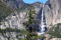 Yosemite National Park in the Summer Under Blue Skies