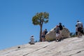 Tourists line up to take photos with the lone tree on Olmstead Point off of Tioga Pass Royalty Free Stock Photo