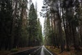 Driving on an Empty Road in Yosemite National Park on a Rainy Afternoon - California, USA Royalty Free Stock Photo