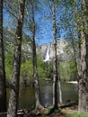 Yosemite National Park