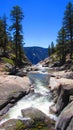 Yosemite National Park California Royalty Free Stock Photo