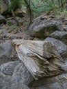 Yosemite national park, Waterfalls. El Capitan cliffs and granite rocky landscapes, giant sequoia and muir forest grove Royalty Free Stock Photo