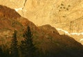 Yosemite National Park in Gold