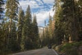 Yosemite National Park Landscapes Highway at Yosemite National Park Royalty Free Stock Photo