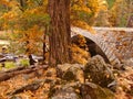 Yosemite National Park Stone Bridge in Autumn Royalty Free Stock Photo