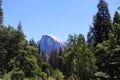 Yosemite National Park in the Summer Under Blue Skies