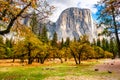 Yosemite Valley at cloudy autumn morning Royalty Free Stock Photo