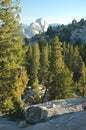 Yosemite, Olmsted Point